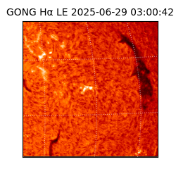 gong - 2025-06-29T03:00:42
