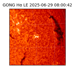 gong - 2025-06-29T08:00:42