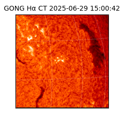 gong - 2025-06-29T15:00:42