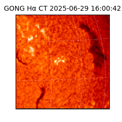 gong - 2025-06-29T16:00:42