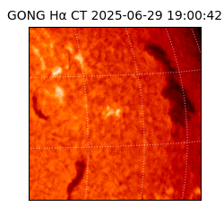 gong - 2025-06-29T19:00:42