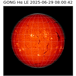 gong - 2025-06-29T08:00:42