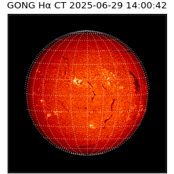 gong - 2025-06-29T14:00:42
