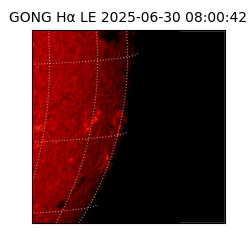 gong - 2025-06-30T08:00:42