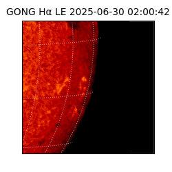 gong - 2025-06-30T02:00:42