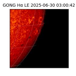 gong - 2025-06-30T03:00:42