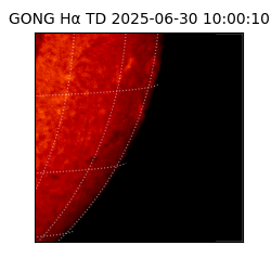 gong - 2025-06-30T10:00:10