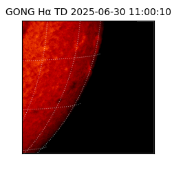 gong - 2025-06-30T11:00:10