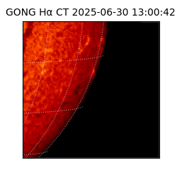 gong - 2025-06-30T13:00:42
