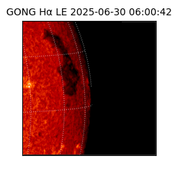 gong - 2025-06-30T06:00:42