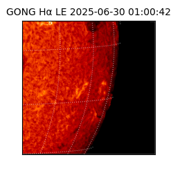 gong - 2025-06-30T01:00:42