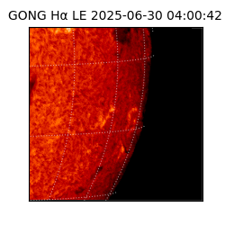 gong - 2025-06-30T04:00:42