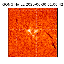 gong - 2025-06-30T01:00:42