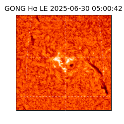 gong - 2025-06-30T05:00:42