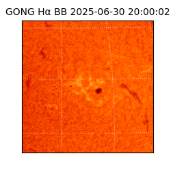 gong - 2025-06-30T20:00:02
