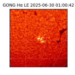 gong - 2025-06-30T01:00:42