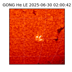 gong - 2025-06-30T02:00:42