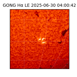 gong - 2025-06-30T04:00:42