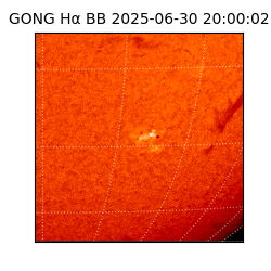 gong - 2025-06-30T20:00:02