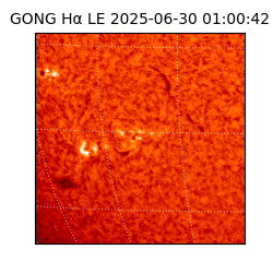 gong - 2025-06-30T01:00:42