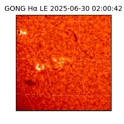 gong - 2025-06-30T02:00:42