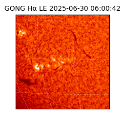 gong - 2025-06-30T06:00:42