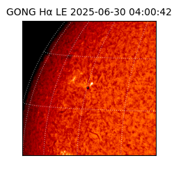 gong - 2025-06-30T04:00:42