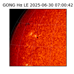 gong - 2025-06-30T07:00:42