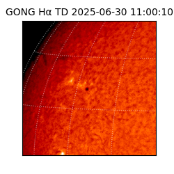 gong - 2025-06-30T11:00:10