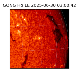 gong - 2025-06-30T03:00:42