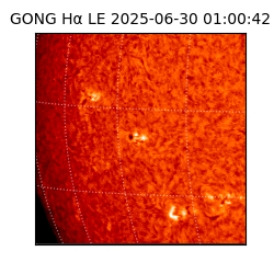 gong - 2025-06-30T01:00:42