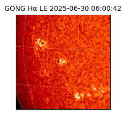 gong - 2025-06-30T06:00:42