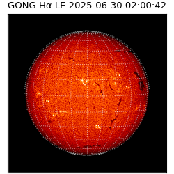 gong - 2025-06-30T02:00:42