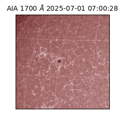saia - 2025-07-01T07:00:28.717000