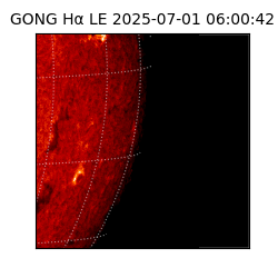 gong - 2025-07-01T06:00:42