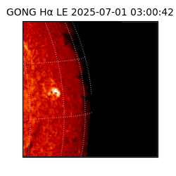 gong - 2025-07-01T03:00:42