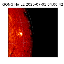 gong - 2025-07-01T04:00:42