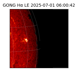 gong - 2025-07-01T06:00:42