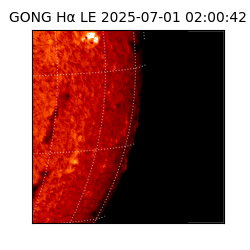 gong - 2025-07-01T02:00:42