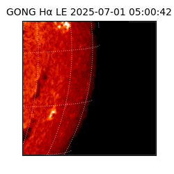 gong - 2025-07-01T05:00:42