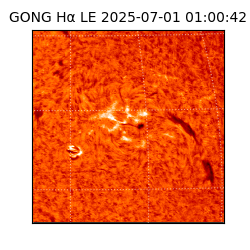 gong - 2025-07-01T01:00:42