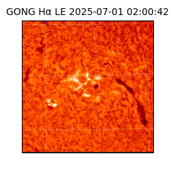 gong - 2025-07-01T02:00:42