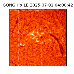 gong - 2025-07-01T04:00:42