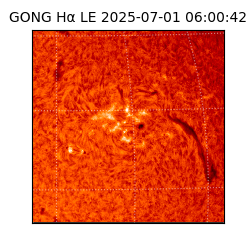 gong - 2025-07-01T06:00:42