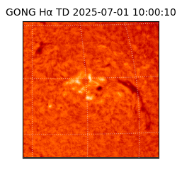 gong - 2025-07-01T10:00:10