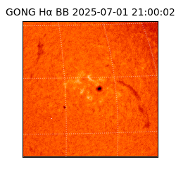 gong - 2025-07-01T21:00:02