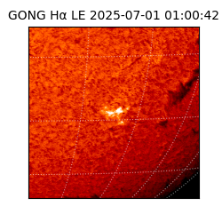 gong - 2025-07-01T01:00:42