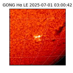 gong - 2025-07-01T03:00:42