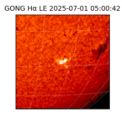 gong - 2025-07-01T05:00:42