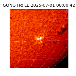 gong - 2025-07-01T08:00:42